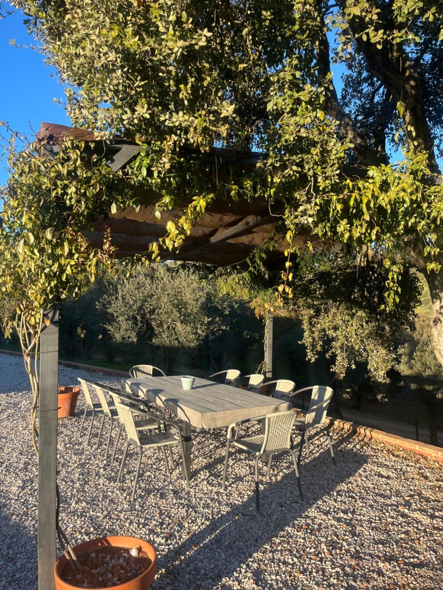 Cortijo Rural Flor De Cazalla كثل دي لا سييرا المظهر الخارجي الصورة